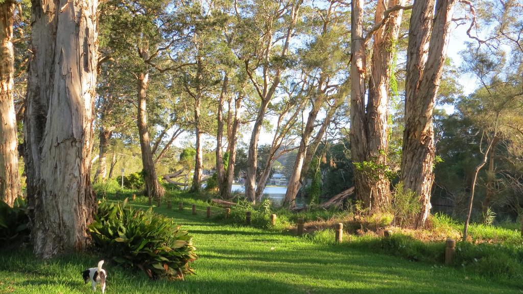 Twenty On Lake North Avoca 部屋 写真